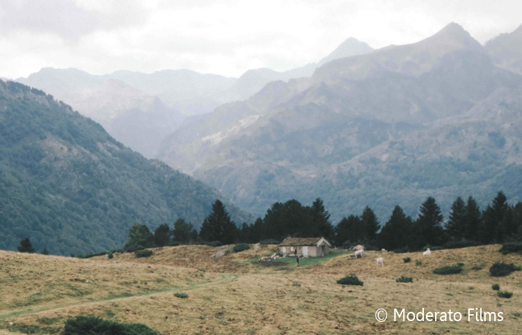 Tournage Le Royaume des aveugles photo moderato films